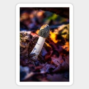 Common Stinkhorn Mushroom Sticker